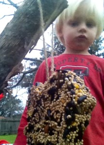 Waiting for the birds